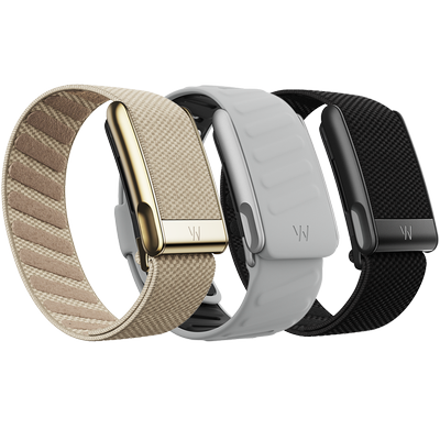 The Hume Band In Neutral Tones